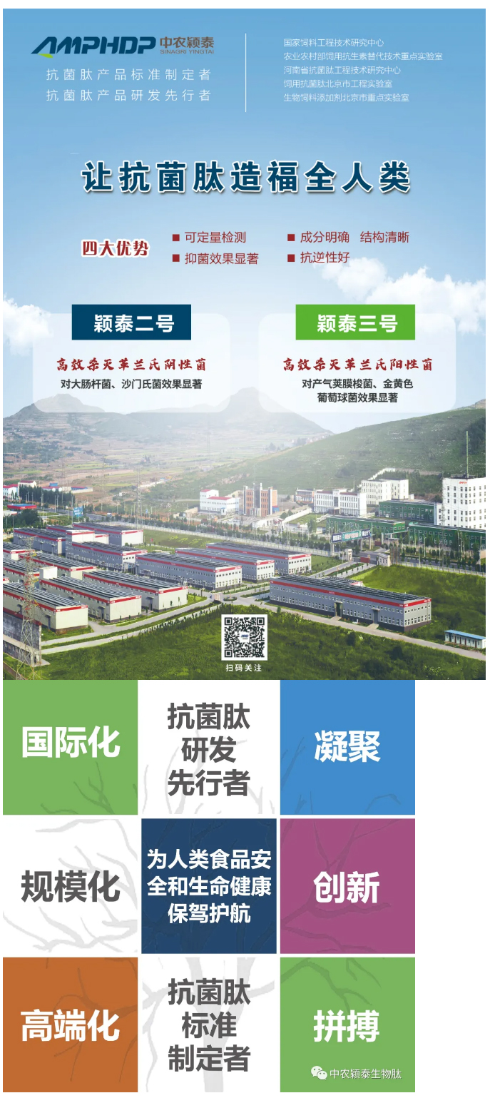 抓住历史机遇-契合政策导向-再创颖泰辉煌--中农颖泰添加剂2022年销售动员大会召开_04